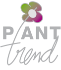 Plant Trend