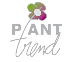 Plant Trend